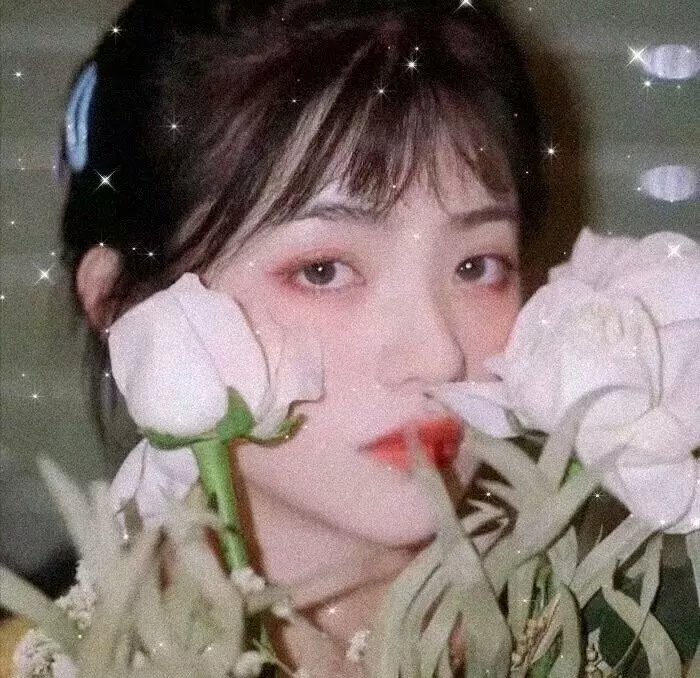 花魁杜十娘
